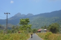 tondongkarambu-089
