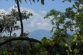 tondongkarambu-094