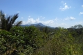 tondongkarambu-098