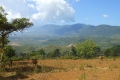 tondongkarambu-125