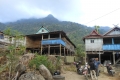 tondongkarambu-135