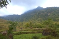 tondongkarambu-140