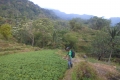 tondongkarambu-143