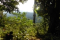 tondongkarambu-153