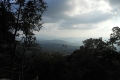 tondongkarambu-154