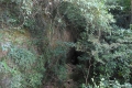 tondongkarambu-156