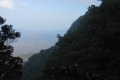 tondongkarambu 193
