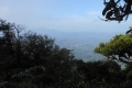 tondongkarambu 220