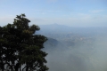 tondongkarambu 230