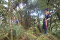 tondongkarambu 238