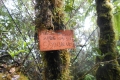 jambi-tujuh-talakmau-sorik-246