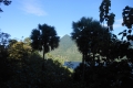 alor-to-flores-058