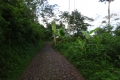 DSC02388