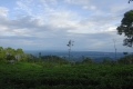 DSC02394