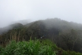 DSC02478