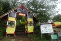 DSC02497