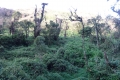 DSC03225