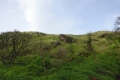 DSC03233