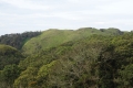 DSC03346
