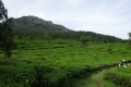 DSC03361