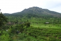 DSC03367