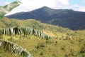 sumba2056