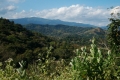 sumba2485