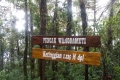 sumba wanggameti 135