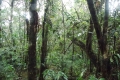 sumba wanggameti 139