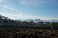DSCN9321