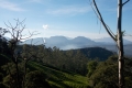 DSCN9340