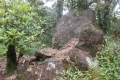 gunung wayang 156