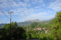 DSC02221