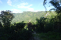 DSC02238