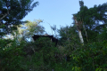 DSC02251