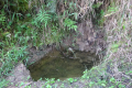 DSC02257