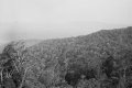 View west from Gunung Angsi bungalow (EJH Corner, c1930)