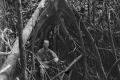 Big tree plus EJH Corner, Gunung Angsi (EJH Corner, c1930)