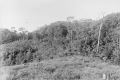 View of Gunung Angsi bungalow (EJH Corner, c1930)