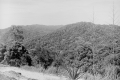 View of forest at Gunung Angsi bungalow (EJH Corner, c1930)