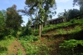 1_DSC01205