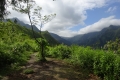 DSC00691