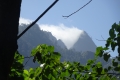 DSC00706