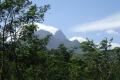 DSC00731