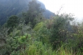 DSC01121