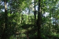 DSC01177