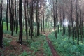 DSC01204