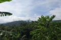DSC01206