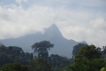 DSC01208