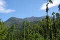 DSC06810